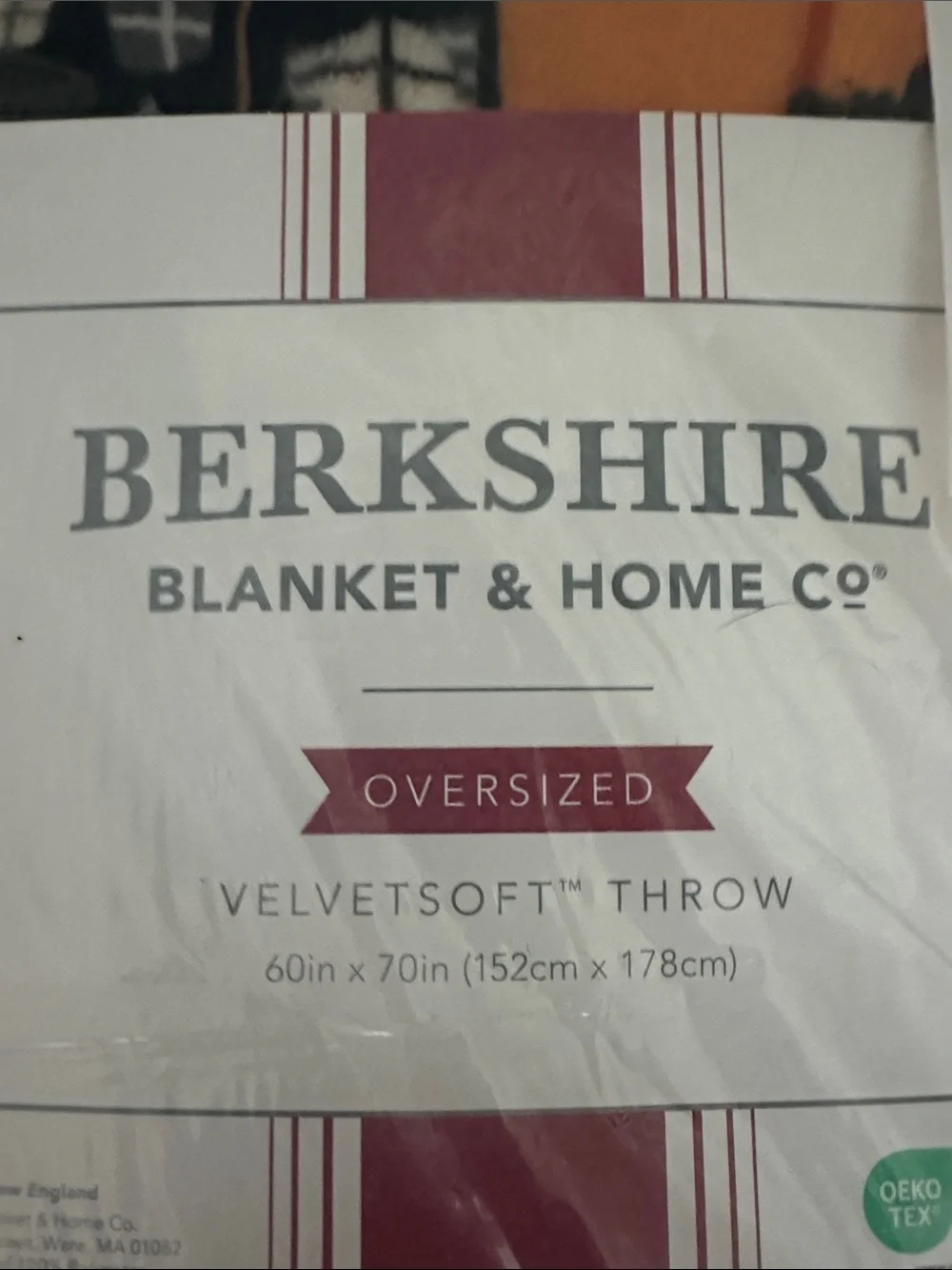 Berkshire Haunted House Oversized Velvet soft Throw Blanket 60”x 70” Halloween